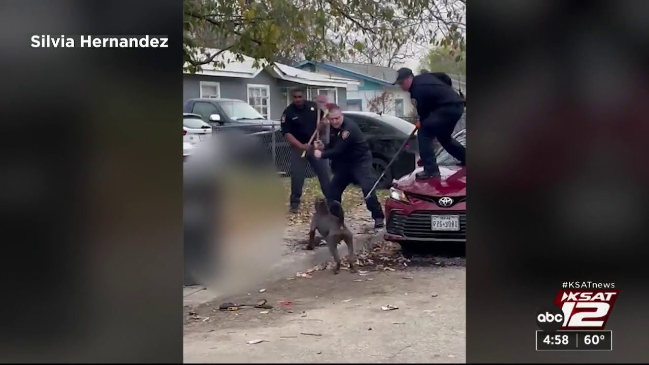 HORRIFYING: Vicious Dogs Maul One Man To Death, Injure Three More In Bloody Attack — Dogs Kept Coming Even After Firefighters Swung Pick Axes And Poles To Stop Them (VIDEO)