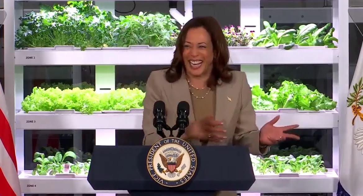 Kamala Harris: “Some of Our Younger Small Business Owners Actually Self-Identify as Entrepreneurs” (VIDEO) Kamala Harris: “Some of Our Younger Small Business Owners Actually Self-Identify as Entrepreneurs” (VIDEO)