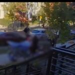 UFC Star Khmazat Chimaev Says “If Allah Allows Me to…Give Me a Rifle and Let Me Go to  Palestine”