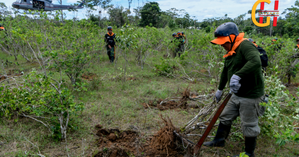 Peru’s Aggressive Coca Leaf Eradication Efforts: A Key Strategy in the Global Fight Against Cocaine