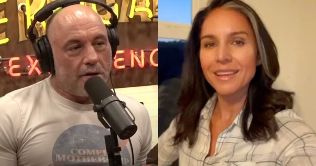 Tulsi Gabbard Exposes MSNBC as a Propaganda Machine for Democrat Elite — Deceptively Edits Joe Rogan Clip to Fabricate Support for Kamala Harris