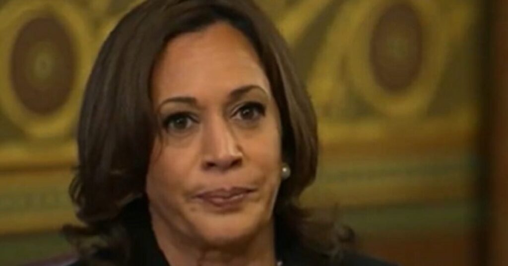 Survey Finds Overwhelming Majority of Americans Believe Kamala Harris is for Open Borders