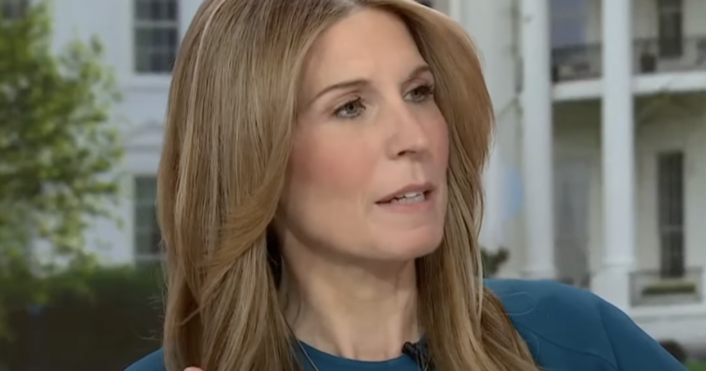 MSNBC’s Nicolle Wallace Declares Kamala Harris is Running a ‘Flawless Campaign’ (VIDEO)