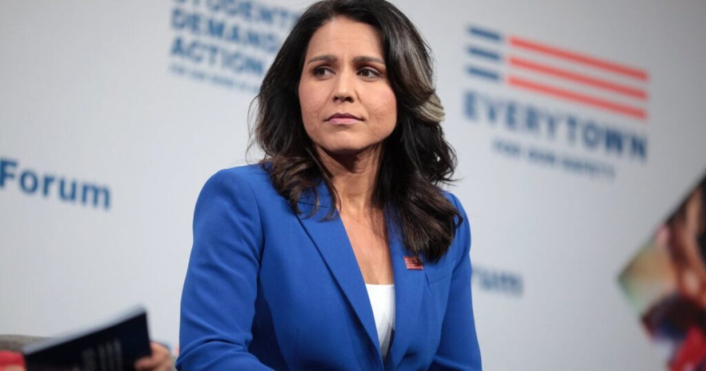 Federal Air Marshal Whistleblowers Reveal Tulsi Gabbard is Actively Under Surveillance Through Quiet Skies Program