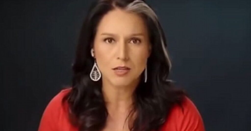 Tulsi Gabbard Taking Legal Action Against Biden Administration for Putting Her on Terrorist Watch List (VIDEO)