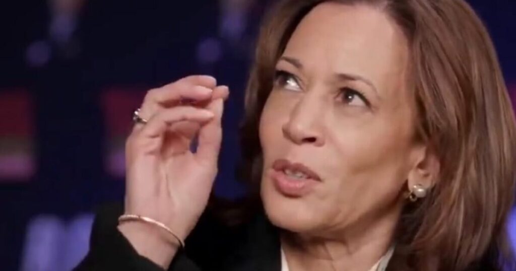 Muslim Activists ‘Blitzing’ Mosques in Michigan to Thwart Kamala Harris, Slamming Her ‘Blatant Disregard’ For Human Life