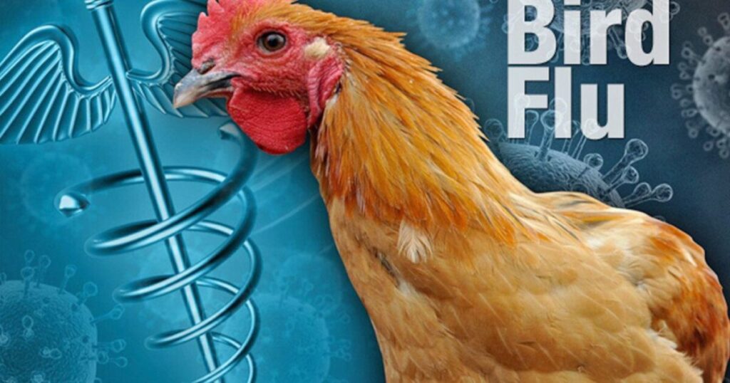 Here We Go: California Gov. Gavin Newsom Declares State of Emergency After First ‘Severe’ Human Bird Flu Case Hits US