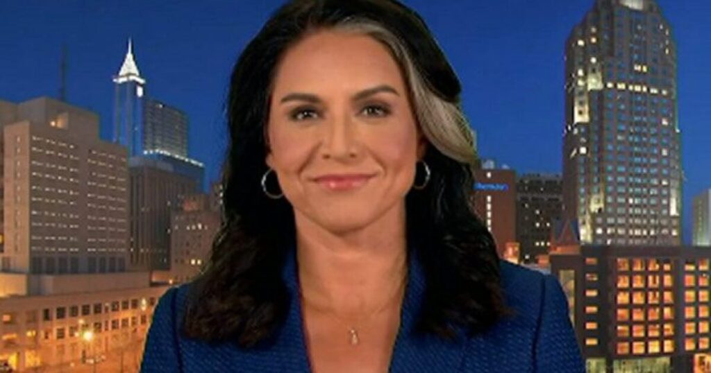 NEW: Tulsi Gabbard to Fire Transgender Extremists and Sexual Deviants Who Participated in NSA’s Secret Sex Kink Chatrooms