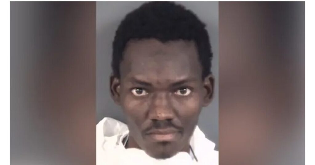 Illegal Alien From Haiti Flown Into US on Biden’s Parole Program Charged with Triple Murder, Including Two Children