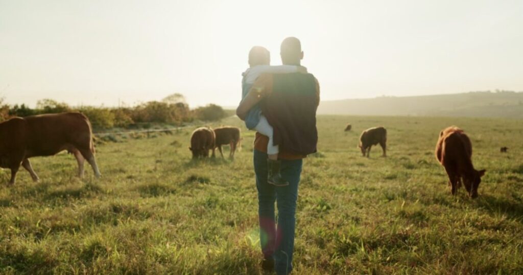 Survive and Thrive: How Real Beef and Survival Food Keep You Safe in a Crisis