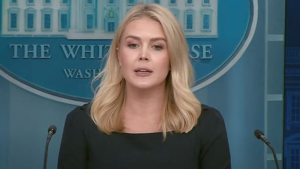 White House Prepares To Go After Noncitizens Who Defraud Entitlement Programs