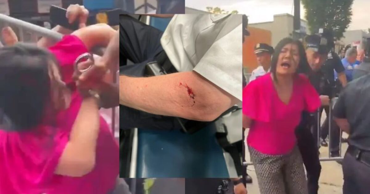 NYPD Chief Files Lawsuit Against NYC Councilwoman Who BIT HIM During Protest (VIDEO)
