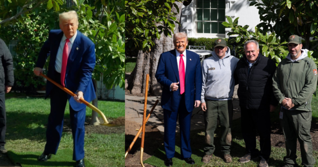 HILARIOUS! White House Trolls Libs, Names Replacement for 200 Year Old Jackson Magnolia “MAGAnolia” as Trump Plants Sapling at White House