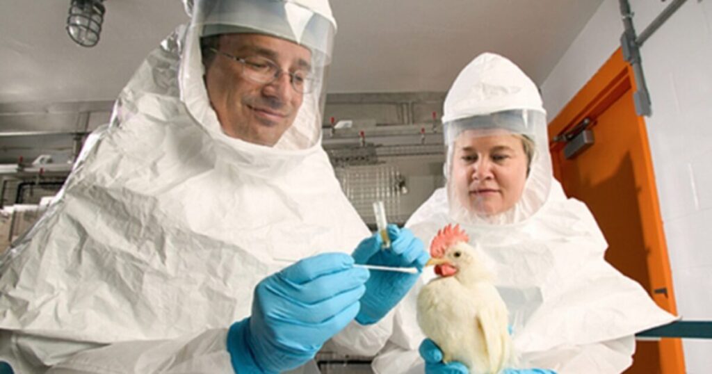 WINNING: Trump Cuts USDA Bird Flu Gain-of-Function Research Partnership with China