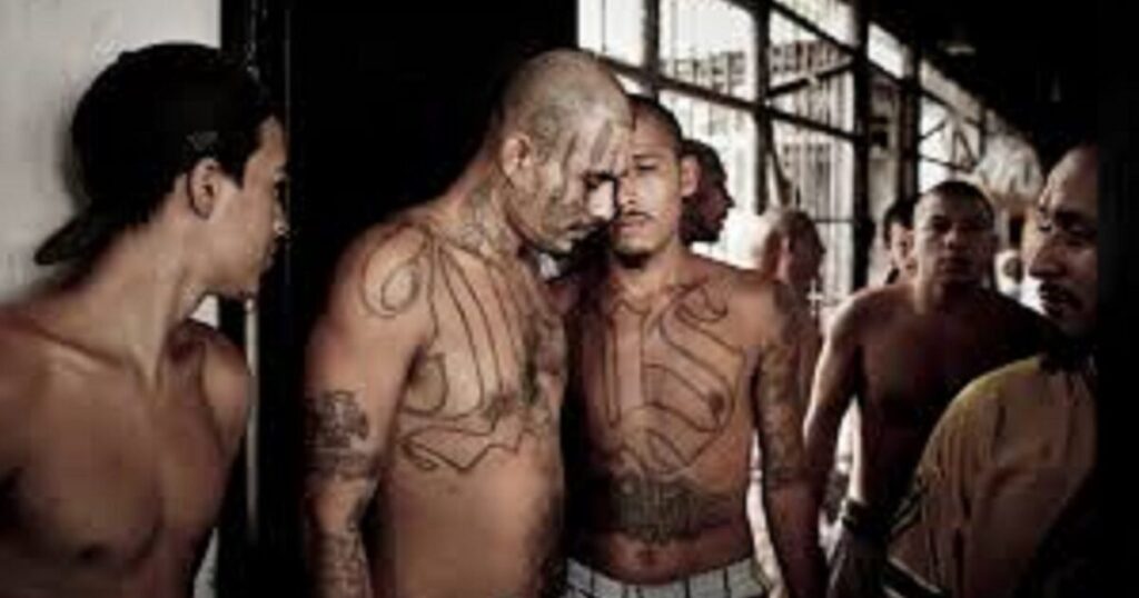BREAKING: Three Virginia Dept. of Corrections Officers Stabbed in State Prison in Premeditated Attack Involving Five MS-13 Illegal Alien Gang Members
