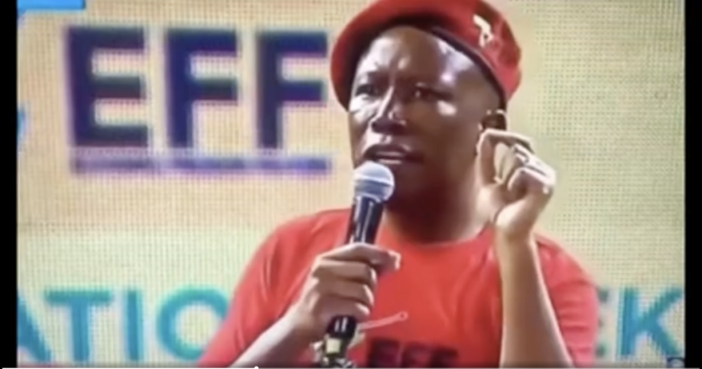South Africa’s EFF Leader Leads Chants of “Shoot to Kill, Kill the Boer, the Farmer” at Saturday’s Rally as Media Elites Insist This Is Not Happening