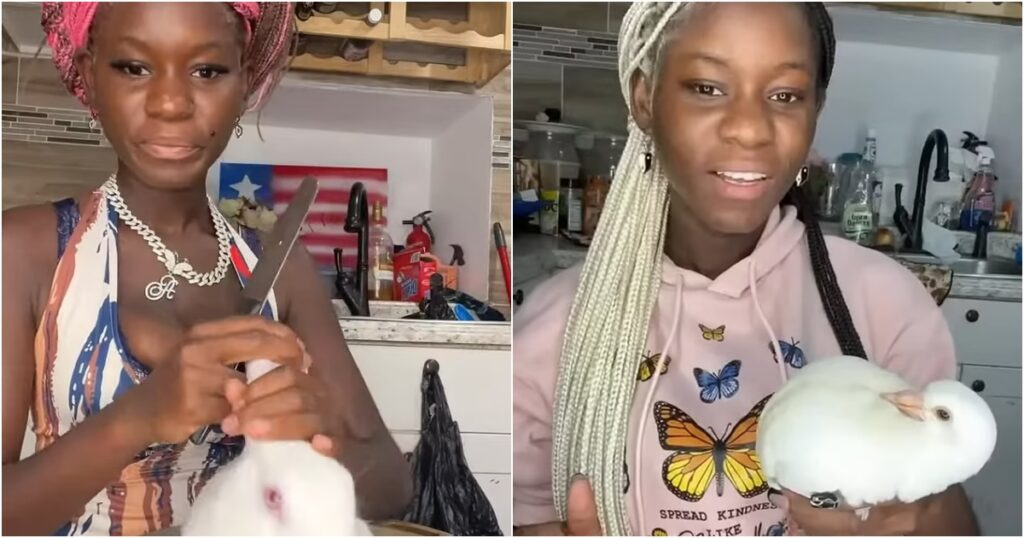 PURE EVIL: Woman Who TORTURED Animals Including Bunnies to Death for Clicks, Launches GoFundMe to Stop President Trump from Deporting Her