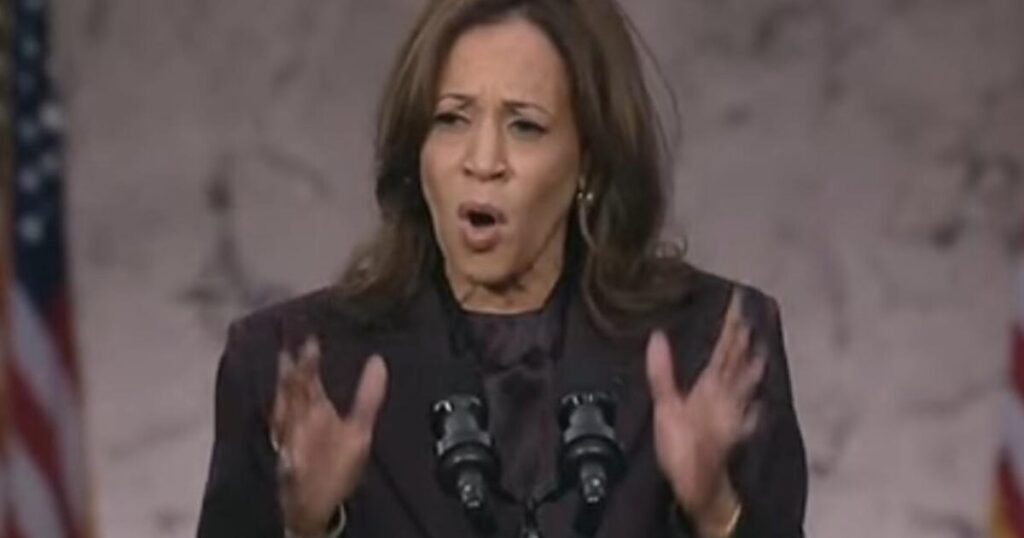 Kamala Harris Sides with the Violent Mob, Condones Riots as Thugs Burn Cars, Block Freeway in Downtown Los Angeles