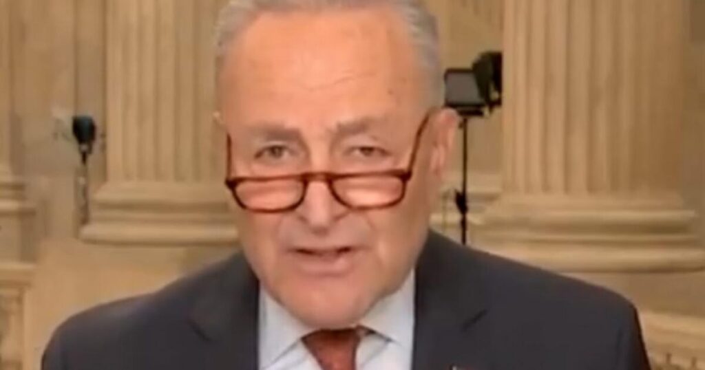 Stonewall Schumer Tried to Force Senate Reading of Entire ‘Big, Beautiful Bill’ Before Debate