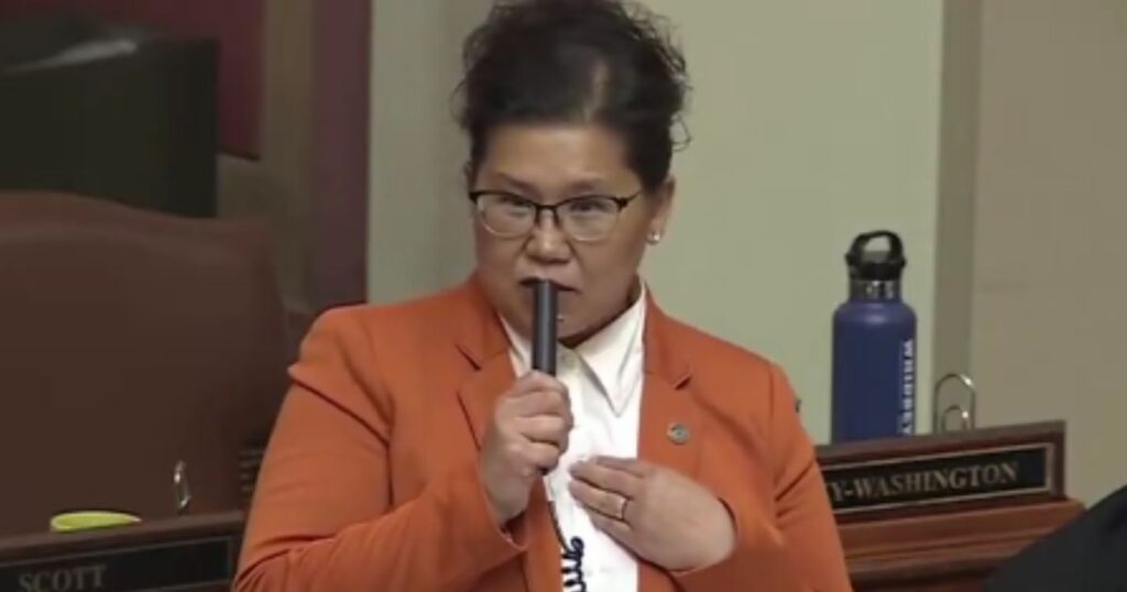 Democrat Minnesota State Rep. Gaslights the Public with INSANE Statement After Claiming She is in the US Illegally in Shocking House Floor Speech