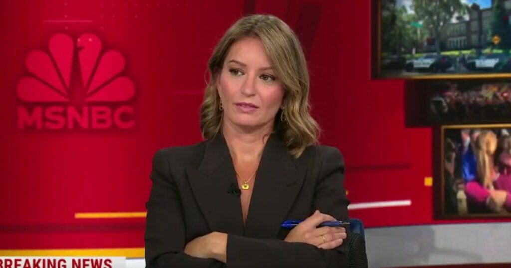 MSNBC Panel Talks Banning All Firearms After Trans Shooter Targets Catholic School: ‘Do What Australia Did’