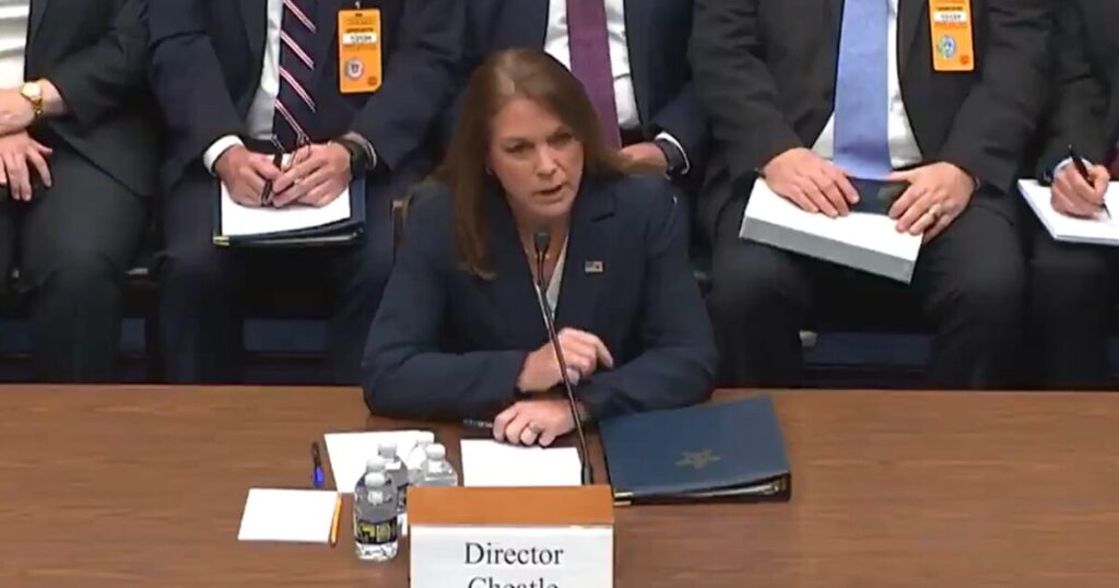 NEW: Secret Service Abruptly Halts Security Clearance Renewal For Former Director Kimberly Cheatle