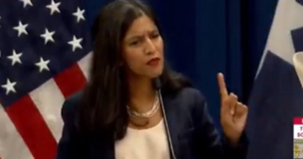 Speaker at DNC Summer Meeting Tells Democrats That Carjackings Don’t Matter to Many Americans (VIDEO)