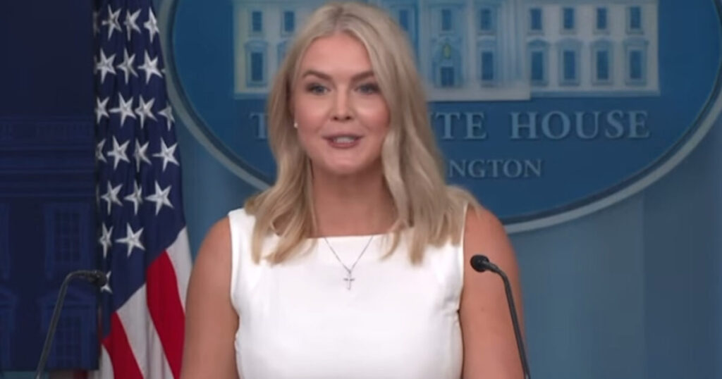 LOL! Leavitt Makes Jacqui Heinrich, Who Previously Claimed Putin “Steamrolled Trump,” Admit that Ukraine War Would have Never Started Under Trump (VIDEO)