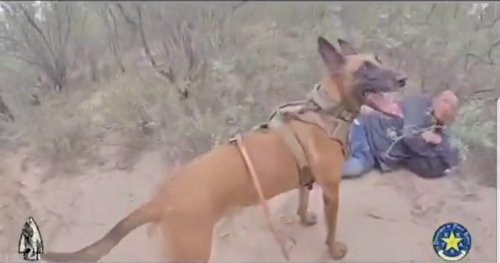 VIDEO: Texas DPS Uses K9 Unit to Track Illegal Aliens in Brush