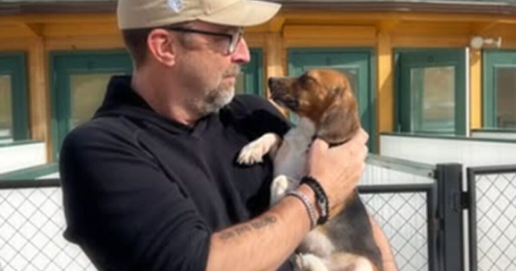 Sanctuary Rescuing 47 Beagles from Chinese Testing Lab