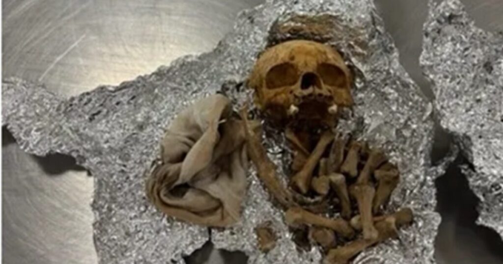 Skull and Other Human Remains Found Hidden in Luggage at Tampa Airport – Traveler Claims Items Were for Use in ‘Rituals’