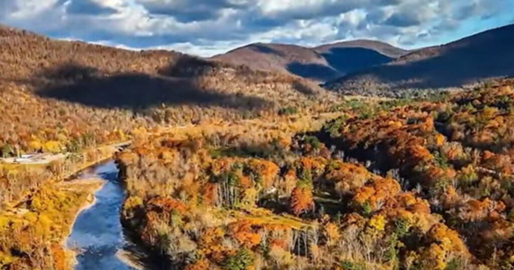 Four Hikers in New York’s Catskill Mountains Take Psychedelic Mushrooms, End Up Calling Rangers for Help After Freaking Out