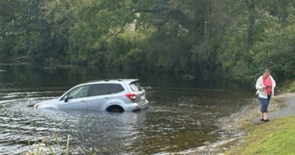 Car Rolls into Lake After Massachusetts Karen Forgets to Put Car in Park When She Gets Out to Heckle ICE Agents Arresting Illegal