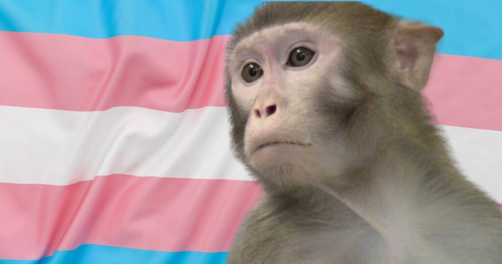 WINNING: House Appropriations Committee Unanimously Passes Amendment to Defund All NIH-Funded Transgender Animal Experiments in FY26 Spending Bill