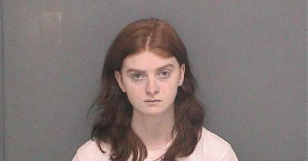 Trans Teen Confesses to Planned Valentine’s Day Mass Shooting in Honor of Parkland Shooter