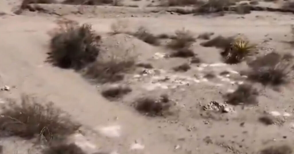 Investigators Mystified After Recovering Over 300 Piles of Human Remains Dumped in Nevada Desert