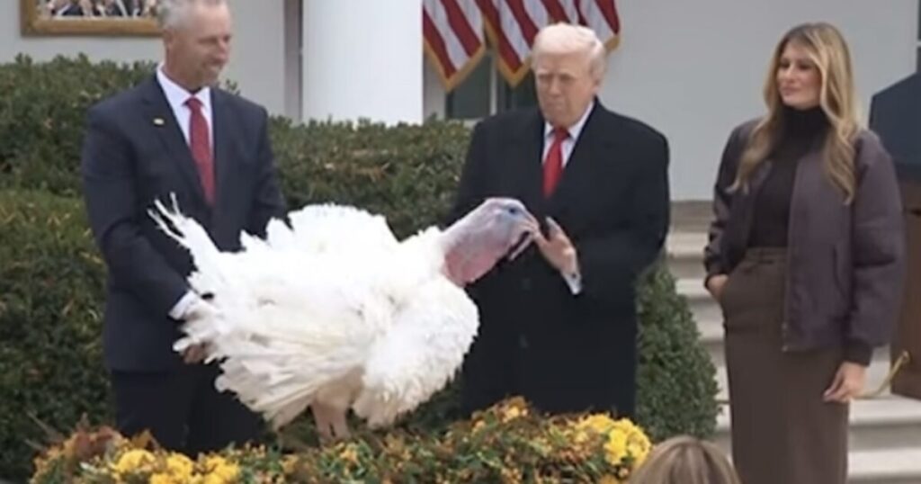 WATCH: Trump Roasts Chuck Schumer and Nancy Pelosi at Turkey Pardon, Jokes Record Setting Turkeys are Extremely Fat but Still MAHA