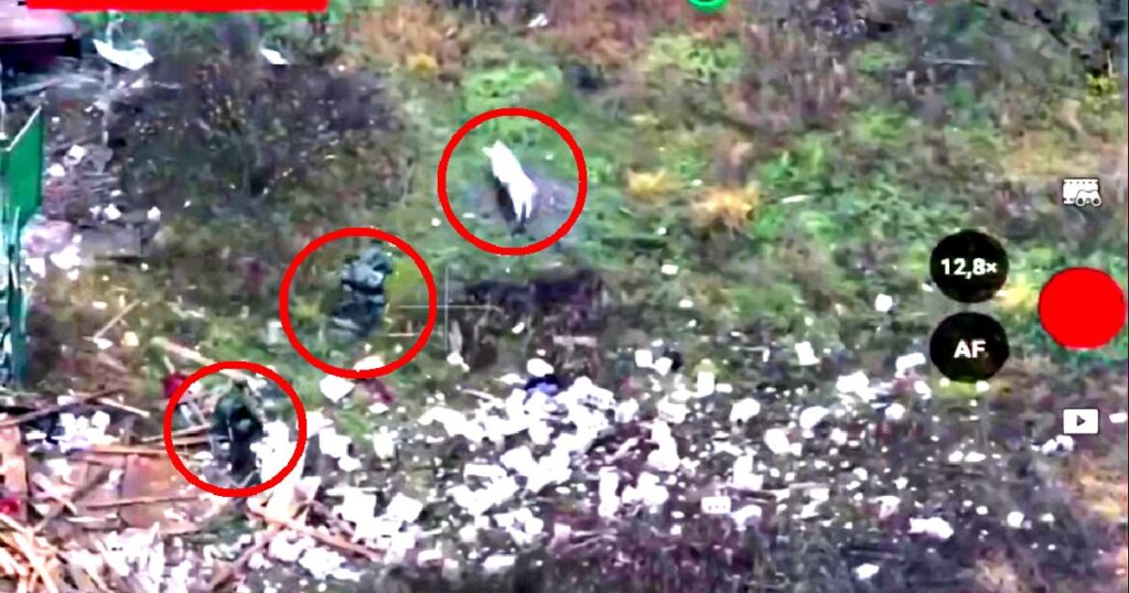 BIZARRE VIDEO: Pig Saves Lives of Two Advancing Russian Soldiers by Stepping on a Landmine