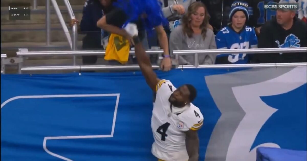 Steelers Receiver Suspended After Throwing Punch at Lions Fan (VIDEO)