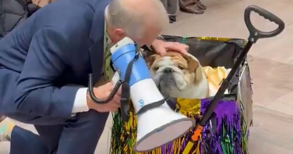 ‘Doggi Gras Pawrade’ – Senators Under Fire For Holding ‘Dog Parade’ as SAVE America Act Stalls (VIDEO)
