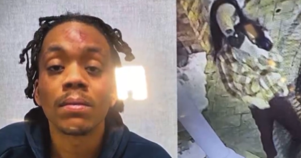 UPDATE: Medicine Technician Arrested in Murder of Millionaire Philanthropist; Police Say Suspect Wore Wig