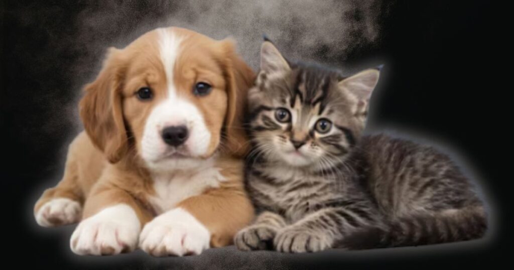 NIH’s Fauci-Holdover Animal Testing Czar Caught Lying About Funding Dog and Cat Experiments – Approved Millions While PETA Applauded