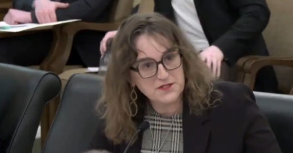 SICK AND EVIL: Every Single Minnesota House Democrat Votes to Let Children Watch Pornography, Age Verification Bill Dies in 67-67 Tie