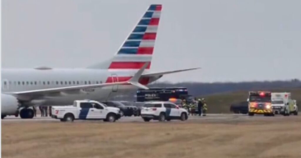 FBI Agents Swarm Isolated American Airlines Jet at Detroit Metro Airport After ‘Disruptive Customer’ Forces Diversion of NYC-to-Chicago Flight (VIDEO)