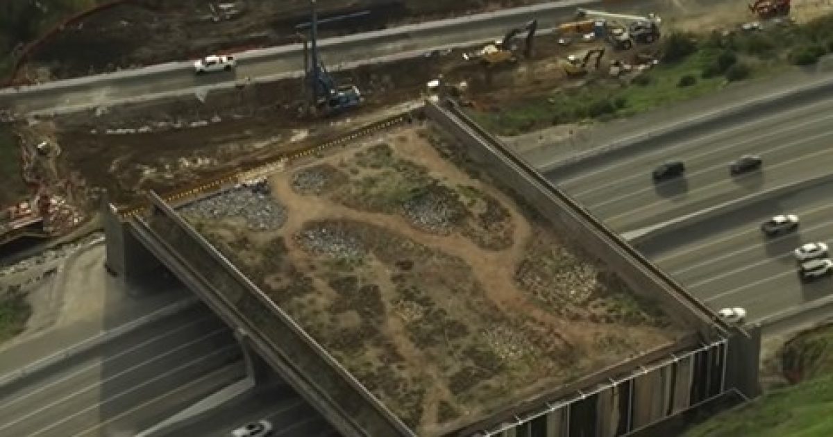 Insanity: Newsom’s California Blows OVER 0 MILLION on a ‘Butterfly and Cougar’ Bridge With No End in Sight – Project Director Blames Trump and the Weather Insanity: Newsom’s California Blows OVER 0 MILLION on a ‘Butterfly and Cougar’ Bridge With No End in Sight – Project Director Blames Trump and the Weather