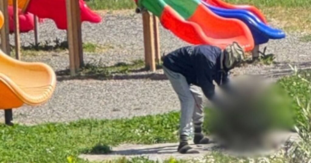 Trump Was Right Again: Locals Horrified as Nigerian Immigrant Kills, Cooks Cat Next to Playground – Reports