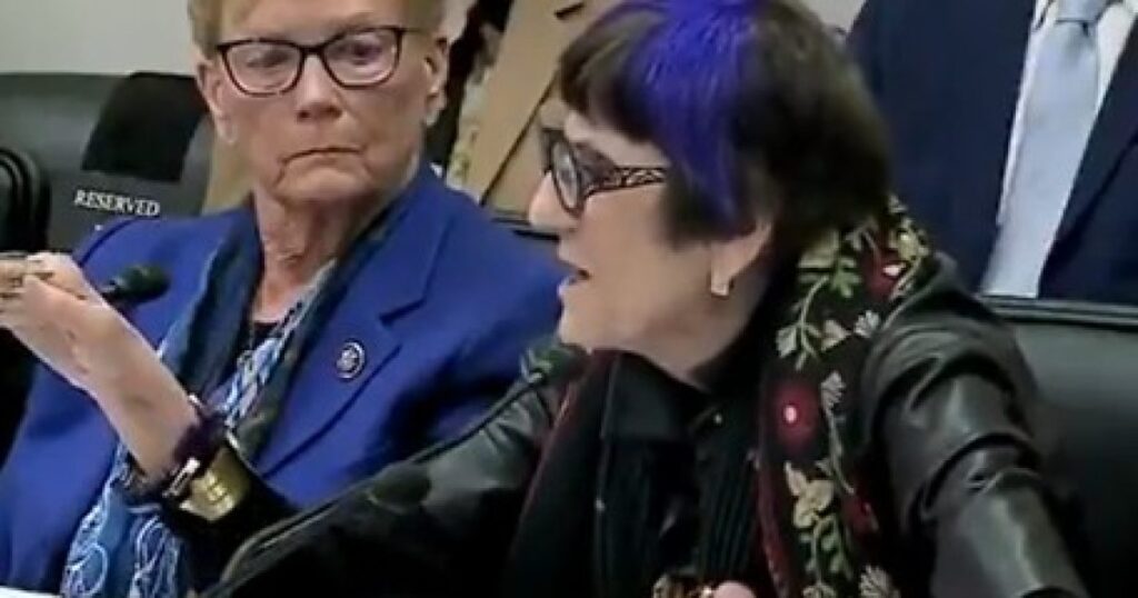 “You Don’t Have the Right to Say Climate Change is a Hoax!”- Purple-Haired Democrat LOSES IT as Lee Zeldin Schools Her on Two Landmark Supreme Court Cases (VIDEO)