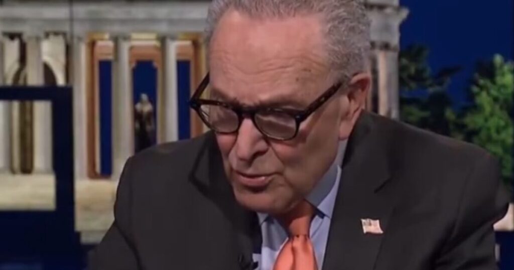 Schumer Accidentally Makes the Case for Passing SAVE America Act During Appearance on MS NOW (VIDEO)
