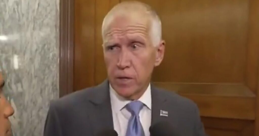 RINO Sen. Thom Tillis Threatens to Sink Todd Blanche AG Nomination Unless He Condemns J6 Protesters (VIDEO)