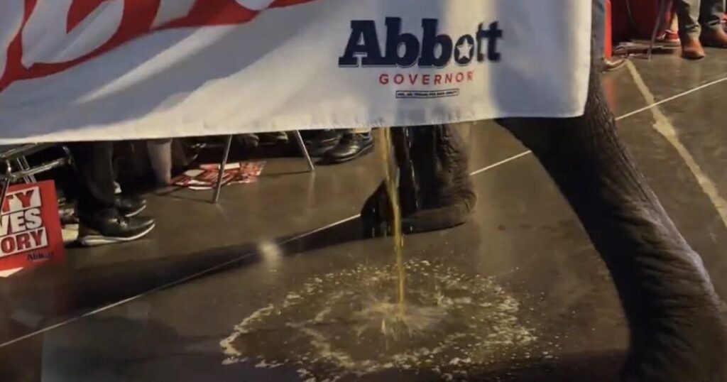 OOPS! Texas GOP Convention Takes Wild Turn After Elephant Relieves Itself in Press Area (VIDEO)